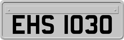 EHS1030