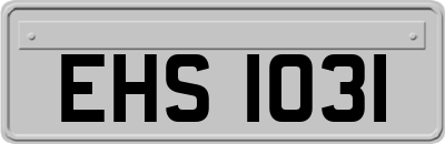 EHS1031