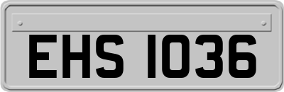 EHS1036