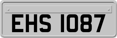 EHS1087