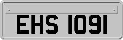 EHS1091