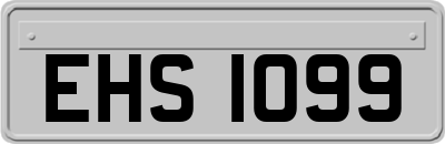EHS1099