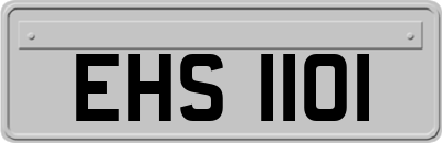 EHS1101