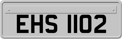 EHS1102