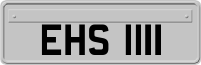 EHS1111