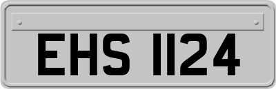 EHS1124