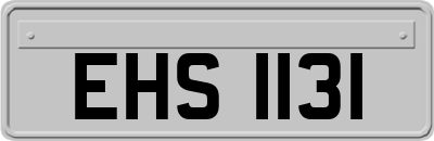 EHS1131