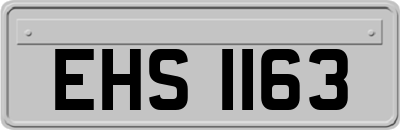 EHS1163