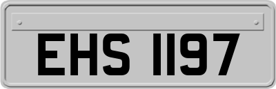 EHS1197