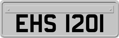 EHS1201