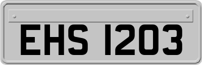 EHS1203