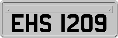 EHS1209