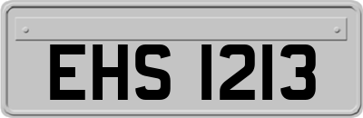 EHS1213