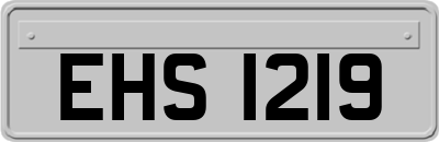 EHS1219