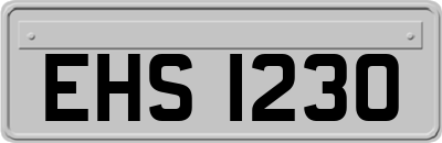 EHS1230