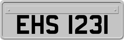 EHS1231
