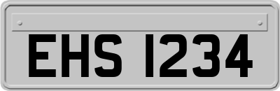 EHS1234