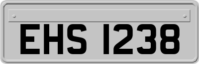 EHS1238