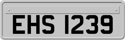 EHS1239