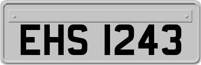 EHS1243