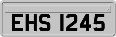 EHS1245