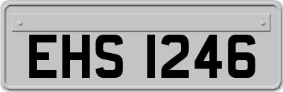 EHS1246
