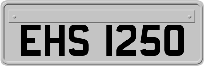 EHS1250