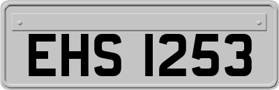 EHS1253