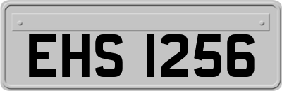 EHS1256