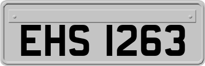 EHS1263