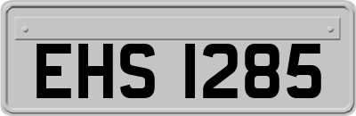EHS1285
