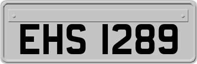 EHS1289