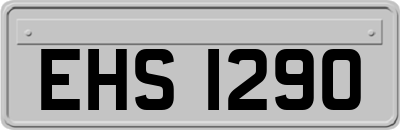 EHS1290