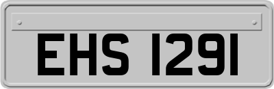 EHS1291