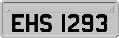 EHS1293