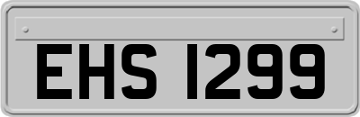 EHS1299