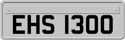 EHS1300