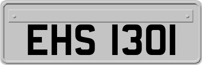 EHS1301