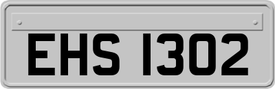 EHS1302