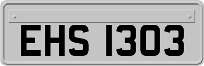 EHS1303