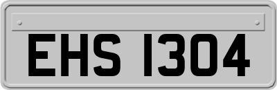 EHS1304