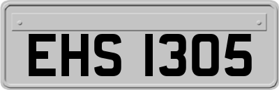 EHS1305