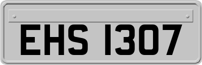 EHS1307