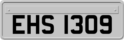 EHS1309