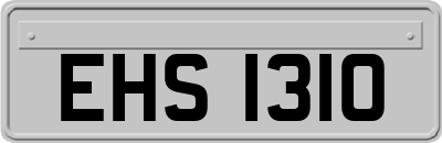 EHS1310