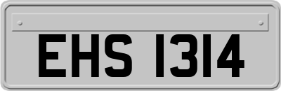 EHS1314