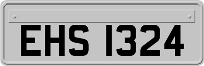 EHS1324