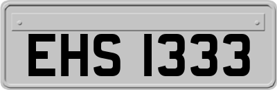 EHS1333