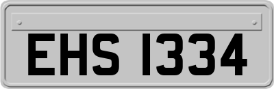 EHS1334