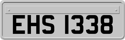 EHS1338